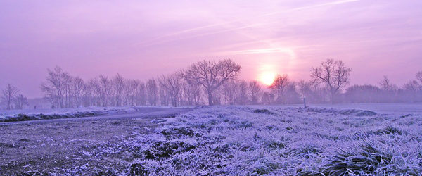 Den Winter überstehen